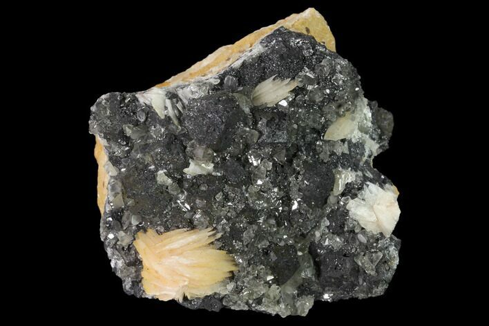 Cerussite Crystals with Bladed Barite on Galena - Morocco #165727